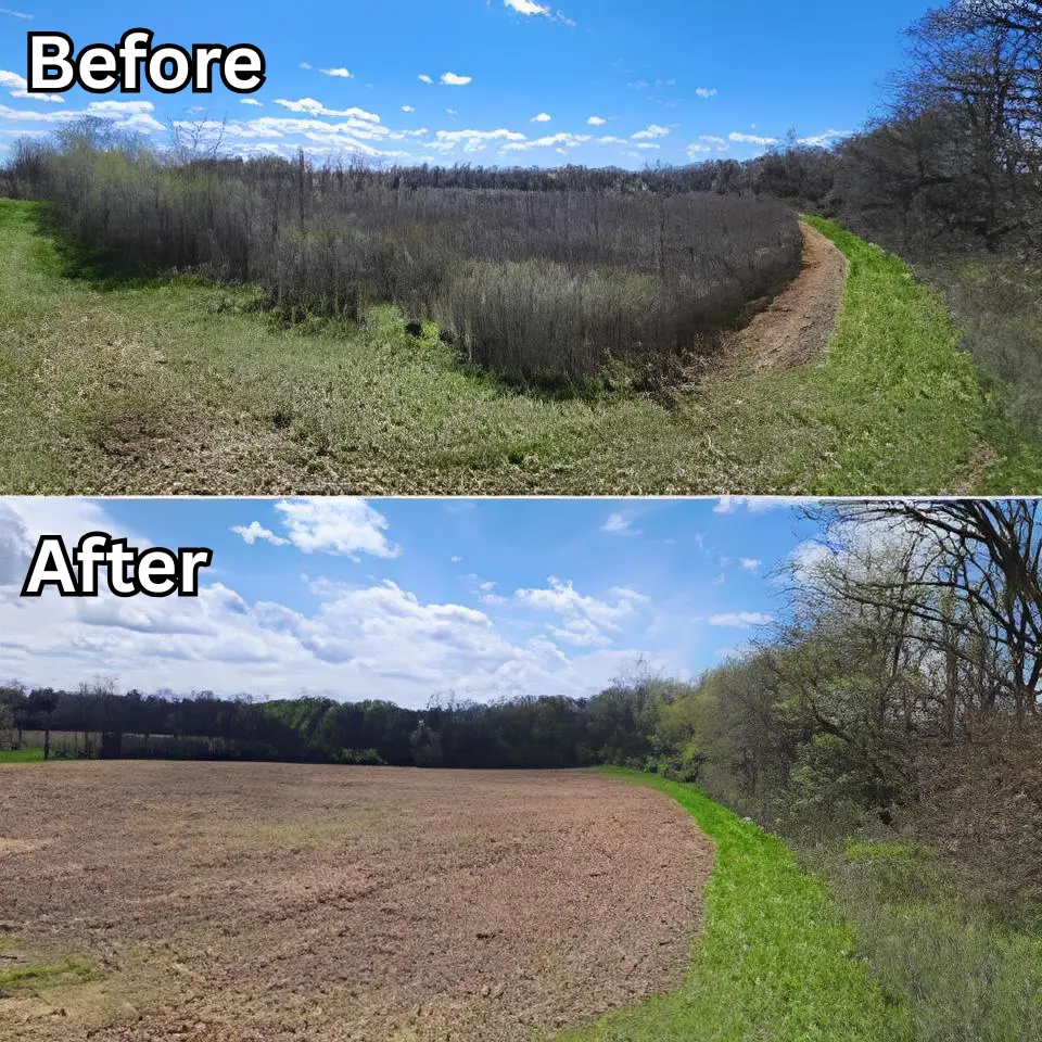 Excavation Project Before/After 3